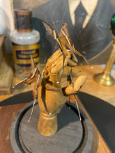 Charger l&#39;image dans la galerie, Trio de papillons sur main en bois petit modèle
