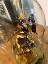 Charger l&#39;image dans la galerie, Papillon graphium weiskei sur main en bois
