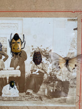 Charger l&#39;image dans la galerie, Cadre photo d’époque et insectes
