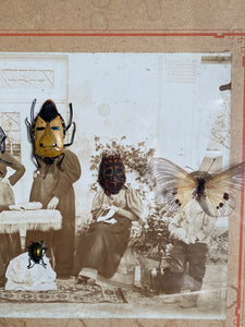 Cadre photo d’époque et insectes