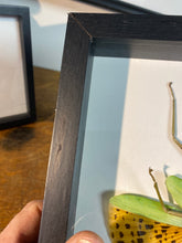 Charger l&#39;image dans la galerie, Cadre phasme géant
