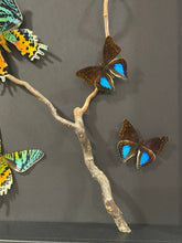 Charger l'image dans la galerie, Cadre envolées de papillons
