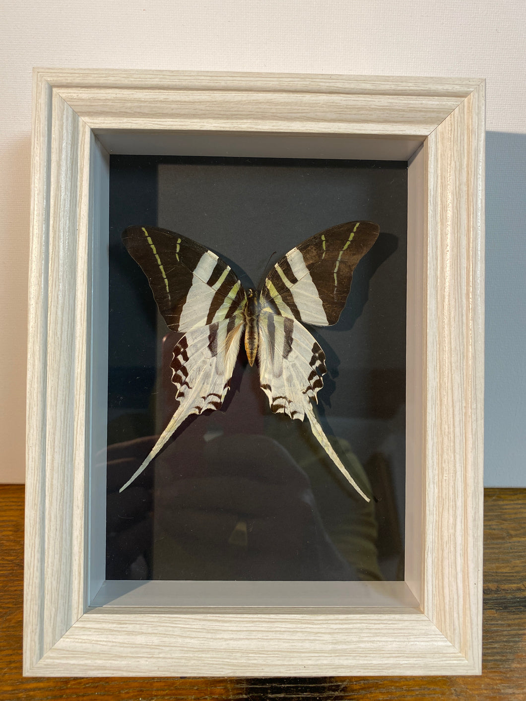 Cadre papillon