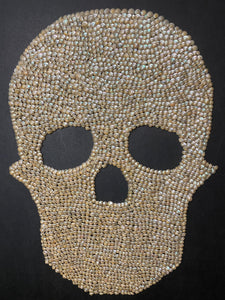 Cadre tête de mort en coquillages grand modèle