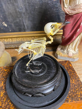 Charger l&#39;image dans la galerie, Squelette d’oiseau sous globe
