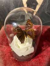 Charger l'image dans la galerie, Rose et papillon
