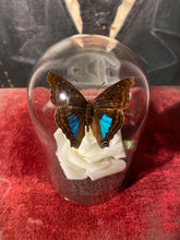 Charger l'image dans la galerie, Rose et papillon
