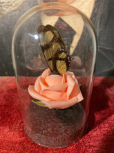 Charger l'image dans la galerie, Rose et papillon
