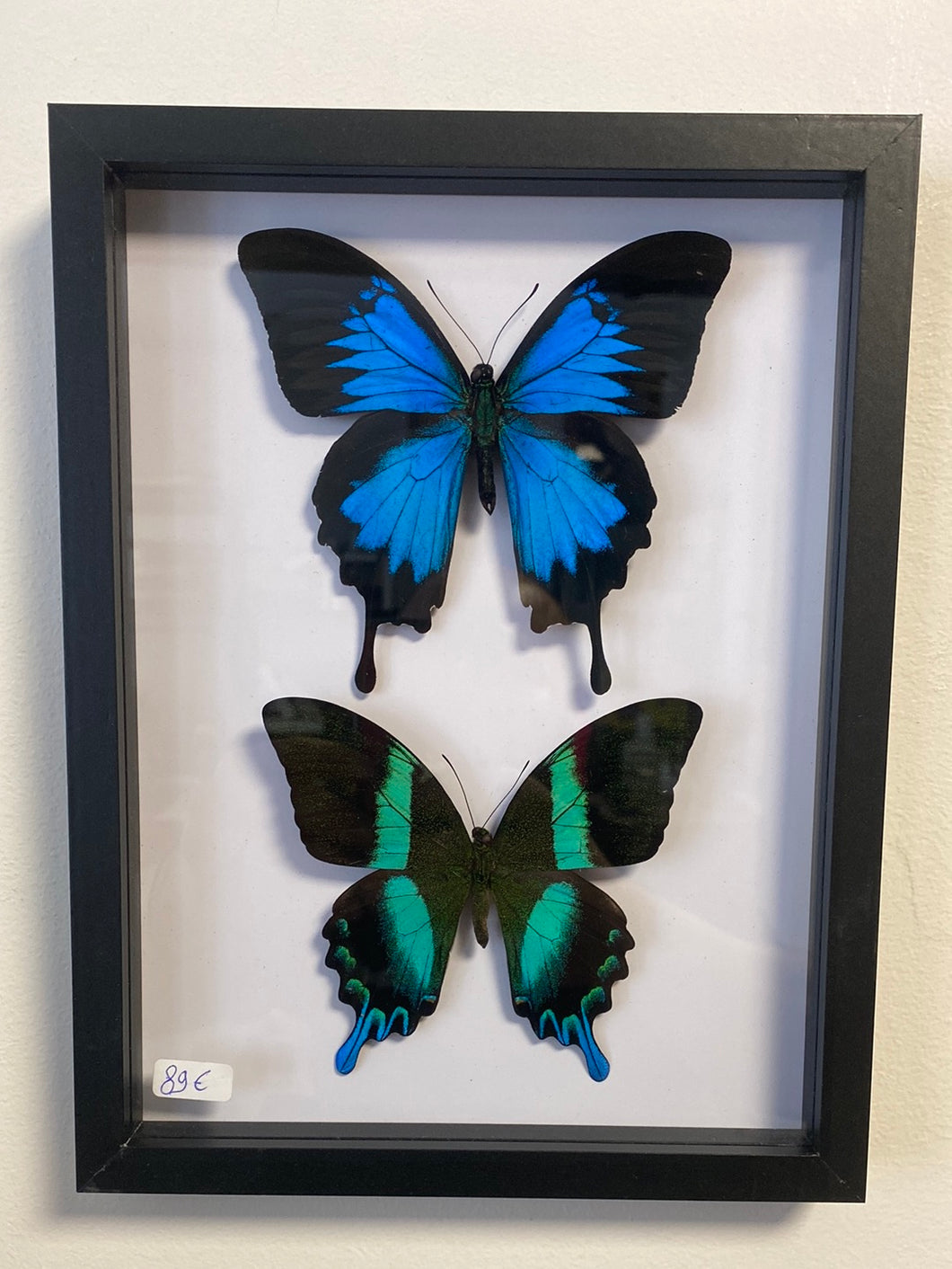 Cadre de papillons