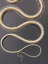 Charger l&#39;image dans la galerie, Cadre squelette de serpent grand modèle

