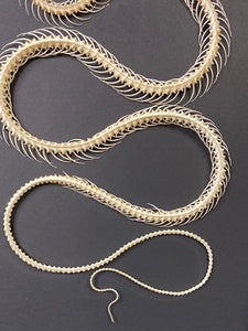 Cadre squelette de serpent grand modèle