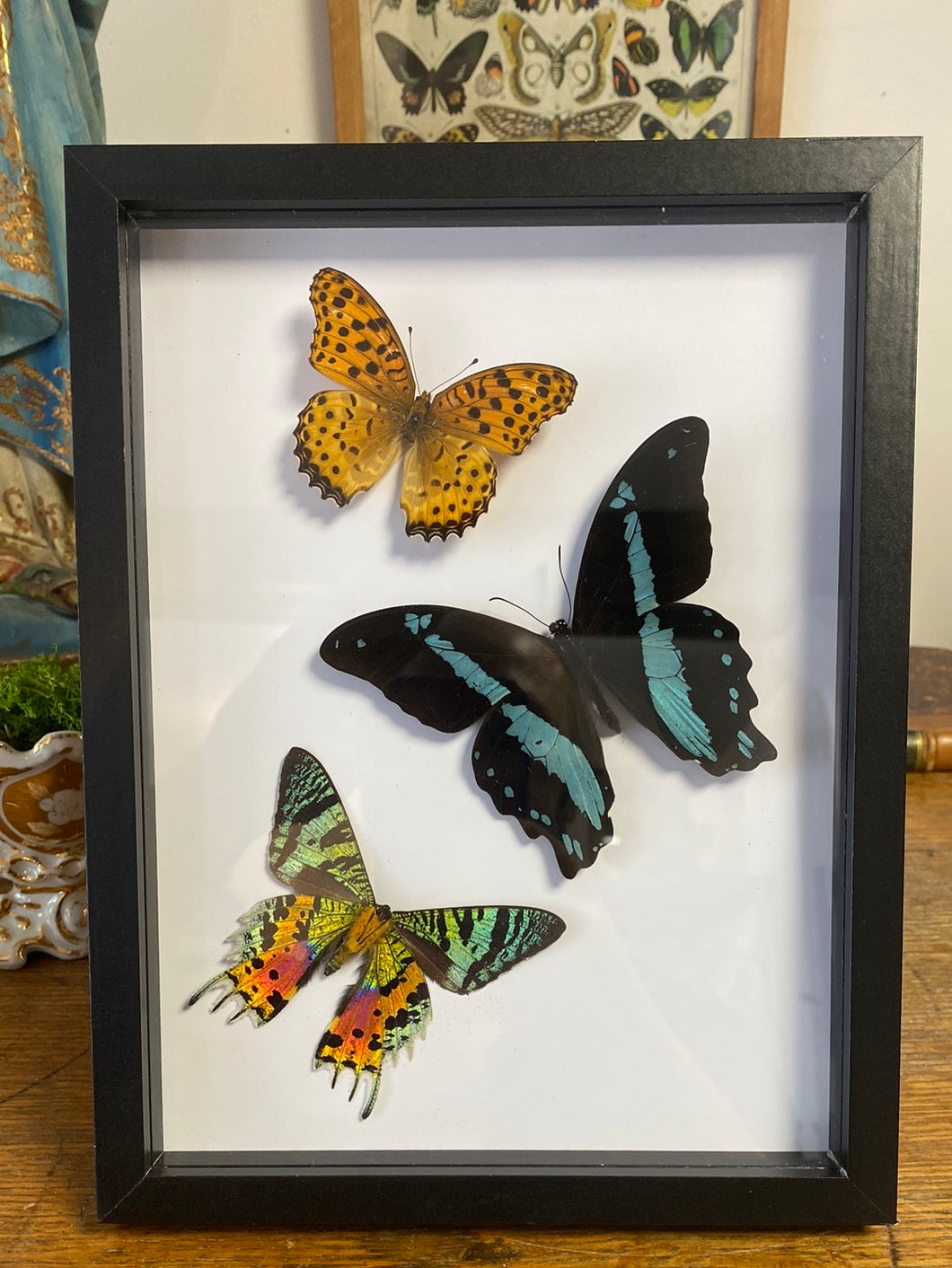 Cadre trio de papillons