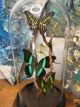 Charger l&#39;image dans la galerie, Cloche papillons, libellule et bois tortueux
