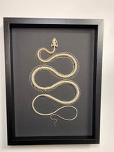 Charger l&#39;image dans la galerie, Cadre squelette de serpent grand modèle
