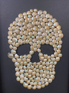 Cadre tête de mort aux coquillages petit modèle