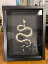 Charger l&#39;image dans la galerie, Cadre squelette de serpent
