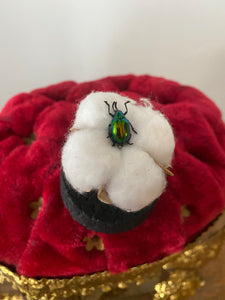 Petit globe fleur de coton et platycorynus