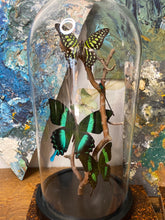 Charger l&#39;image dans la galerie, Cloche papillons, libellule et bois tortueux
