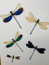 Charger l&#39;image dans la galerie, Cadre aux libellules
