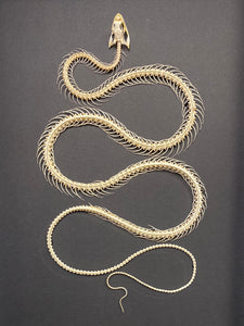 Cadre squelette de serpent grand modèle