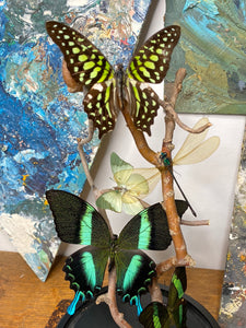 Cloche papillons, libellule et bois tortueux