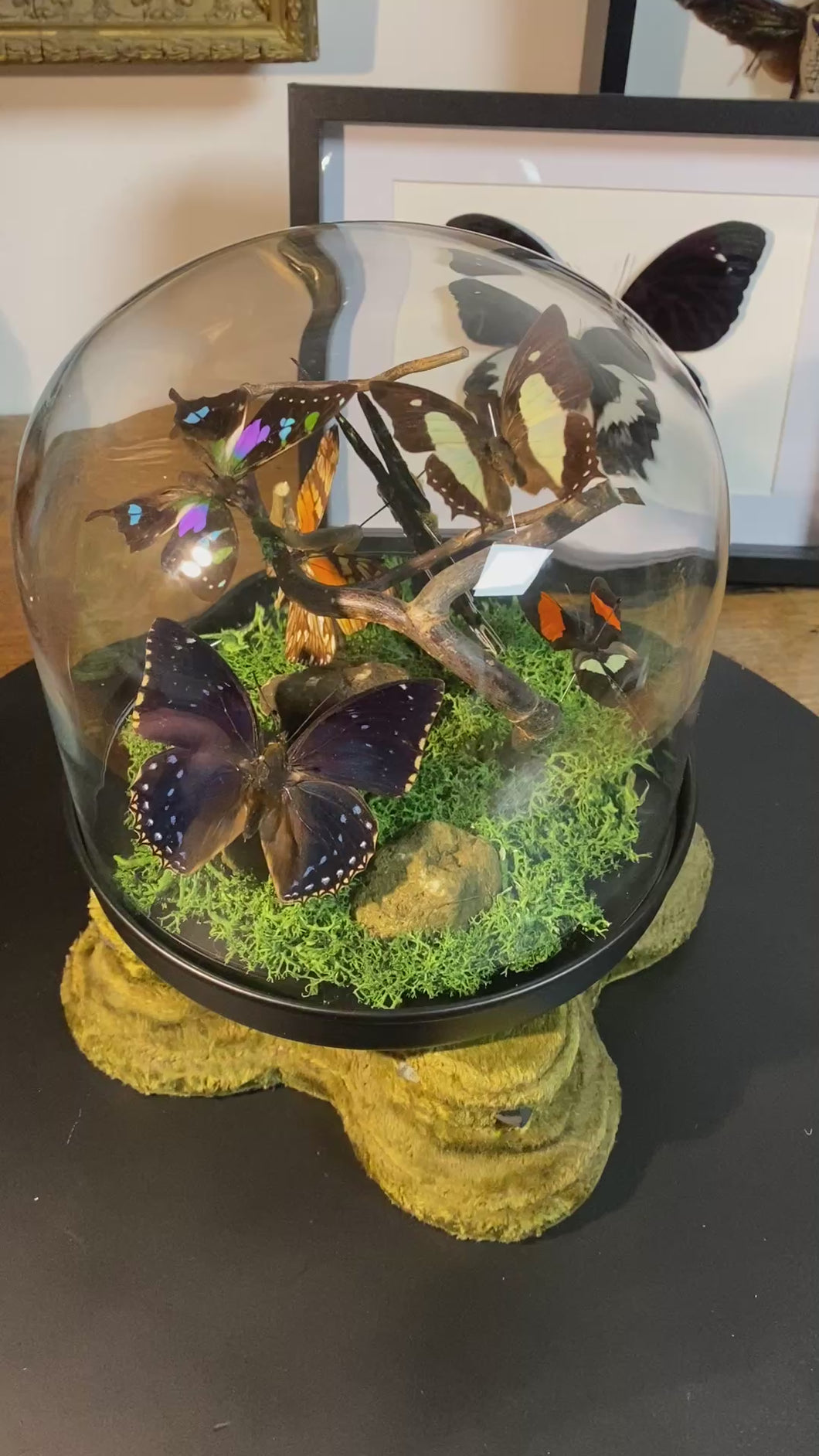 Globe « 360 de nature »