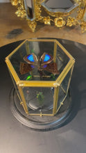Charger et lire la vidéo dans la visionneuse de la Galerie, Prisme hexagonal aux d’insectes
