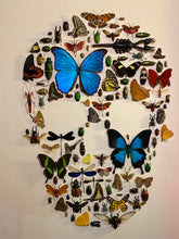 Charger l&#39;image dans la galerie, Cadre tête de mort aux insectes
