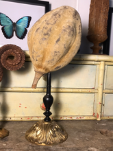Charger l&#39;image dans la galerie, Fruit de baobab sur piédestal en bronze
