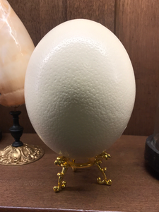 Oeuf d’autruche sur piétement