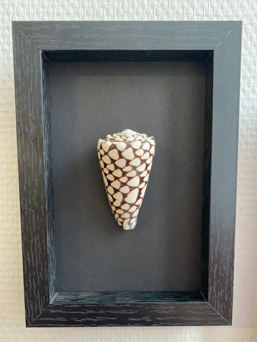 Cadre coquillage petit modèle