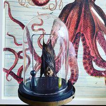 Charger l&#39;image dans la galerie, Chauve-souris hipposideros larvatus sous globe en verre

