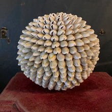 Charger l&#39;image dans la galerie, Boule de coquillage GM
