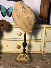 Charger l&#39;image dans la galerie, Fruit de baobab sur piédestal en bronze
