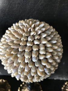 Sphère de coquillage gris coloré sur piétement petit modèle