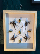 Charger l&#39;image dans la galerie, Cadre géométrie aux papillons et insectes
