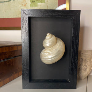 Cadre coquillage petit modèle