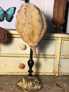 Fruit de baobab sur piédestal en bronze
