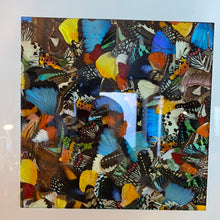Charger l&#39;image dans la galerie, Cadre ailes de papillons
