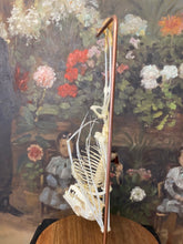 Charger l&#39;image dans la galerie, Véritable squelette de chauve-souris sous globe en verre grand modèle
