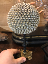 Charger l&#39;image dans la galerie, Sphère de coquillage gris coloré sur piétement grand modèle
