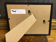 Charger l&#39;image dans la galerie, Cadre papillon « papilio ulysses »
