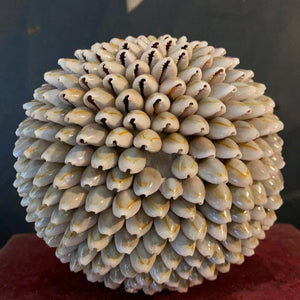 Boule de coquillage GM
