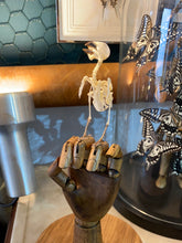 Charger l&#39;image dans la galerie, Squelette d’oiseau sur main articulé en bois
