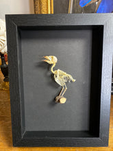 Charger l&#39;image dans la galerie, Cadre squelette d’oiseau
