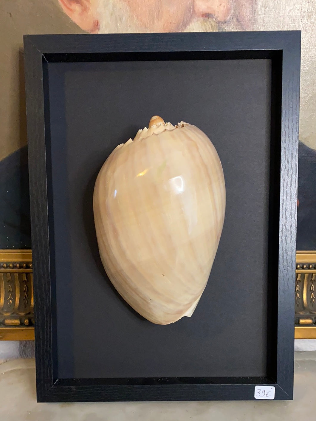 Cadre coquillage grand modèle