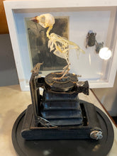 Charger l&#39;image dans la galerie, Le petit oiseau est sorti!!
