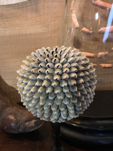 Sphère de coquillage gris coloré sur piétement moyen modèle
