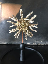 Charger l&#39;image dans la galerie, Globe en verre avec oursin Knobby
