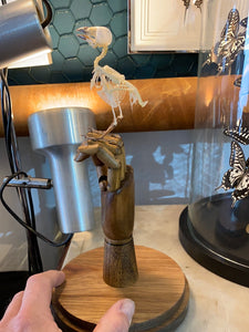 Squelette d’oiseau sur main articulé en bois